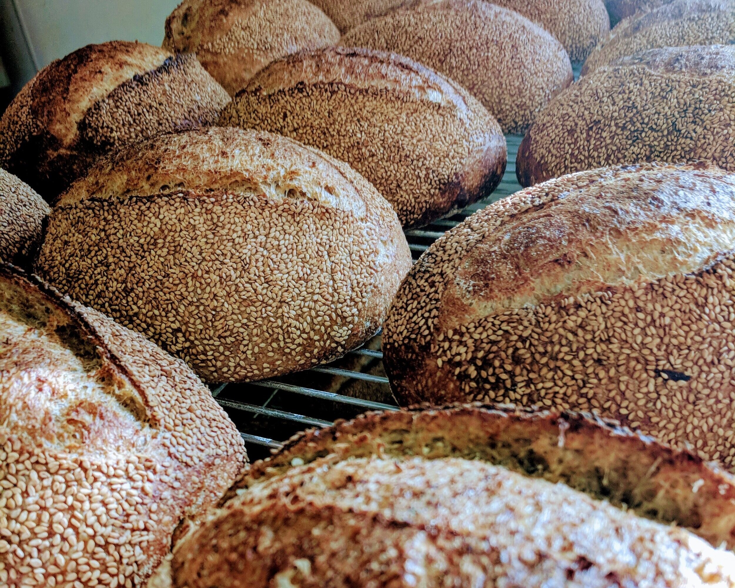 Freshly baked sesame seed loaves cooling on a wire rack, showcasing a golden-brown crust and textured surface.