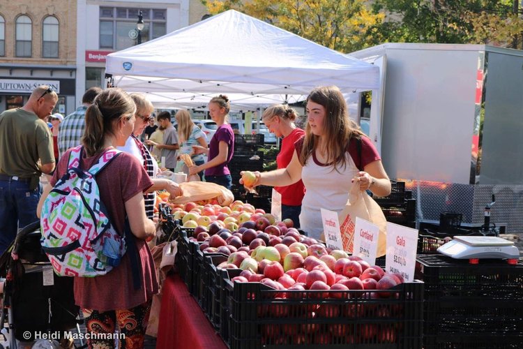 Van+Laar's+Fruit+Farm+Illinois+-+3091 A bustling farmers market scene with shoppers browsing fresh apples at various stalls. A vendor hands an apple to a customer, while others examine the selection. Bright sunlight illuminates the vibrant colors of the apples and the lively atmosphere of the market.